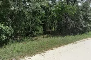 91 SE 142nd Terrace, Williston, FL 32696 - Photo 1