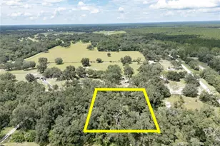 19930 SE 31st St, Morriston, FL 32668 - Photo 1