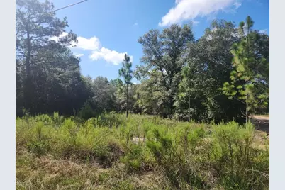 Lot 21 SW Rainbow Lakes Boulevard, Dunnellon, FL 34431 - Photo 12