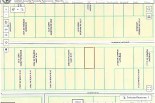 Lot 21 SW Rainbow Lakes Blvd, Dunnellon, FL 34431 - Photo 1