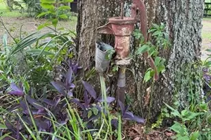 7555 SW 77 Pl, Ocala, FL 34476 - Photo 28