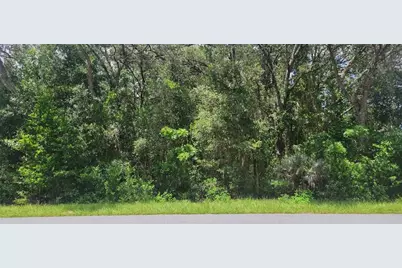 0 SW Beach Boulevard, Dunnellon, FL 34431 - Photo 1