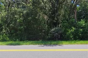 0 SW Beach Blvd, Dunnellon, FL 34431 - Photo 1