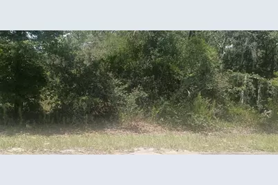 Guava Pass Crossing #5, Ocklawaha, FL 32179 - Photo 2