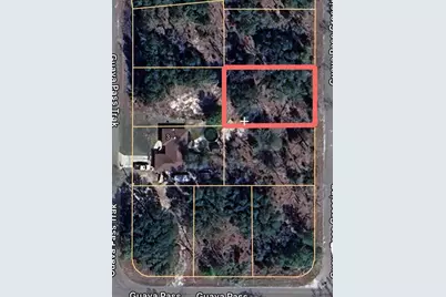 Guava Pass Crossing #5, Ocklawaha, FL 32179 - Photo 1