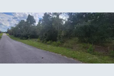 0 SW Big Bear Ridge, Dunnellon, FL 34431 - Photo 4