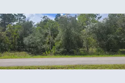 0 SW Big Bear Ridge, Dunnellon, FL 34431 - Photo 1