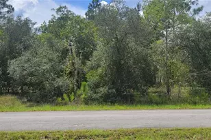 0 SW Big Bear Ridge, Dunnellon, FL 34431 - Photo 1