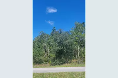0 SW Big Bear Ridge, Dunnellon, FL 34431 - Photo 1