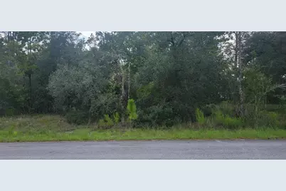 0 SW Big Bear Ridge, Dunnellon, FL 34431 - Photo 2