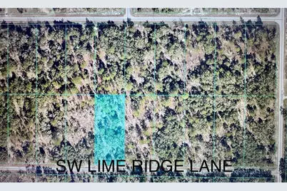 Tbd SW Limeridge Lane, Dunnellon, FL 34431 - Photo 1