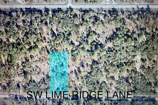 Tbd SW Limeridge Ln, Dunnellon, FL 34431 - Photo 1