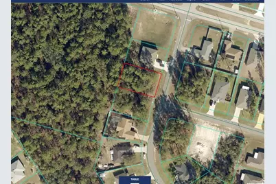 Tbd SW 73rd Avenue Road, Ocala, FL 34473 - Photo 2