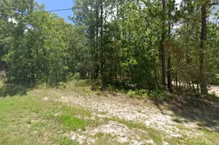 Tbd SW 73rd Ave Rd, Ocala, FL 34473 - Photo 1