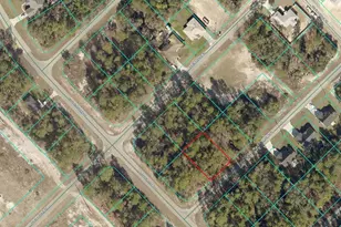 Tbd SW 150th Pl, Ocala, FL 34473 - Photo 1