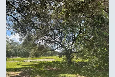 0 SE 180th Ave, Ocklawaha, FL 32179 - Photo 12