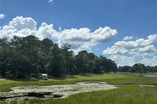 0 SE 180th Ave, Ocklawaha, FL 32179 - Photo 1