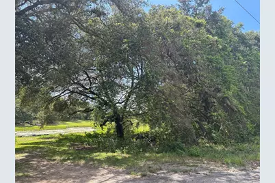0 SE 180th Ave, Ocklawaha, FL 32179 - Photo 8