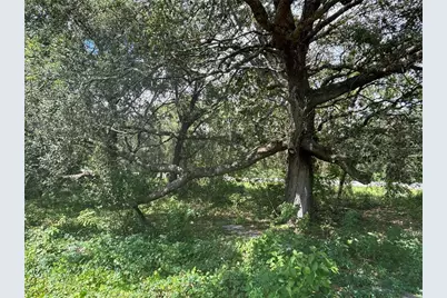 0 SE 180th Ave, Ocklawaha, FL 32179 - Photo 10