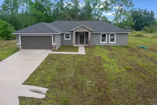 3 Malauka Radial Track, Ocklawaha, FL 32179 - Photo 6