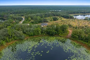 3 Malauka Radial Track, Ocklawaha, FL 32179 - Photo 16