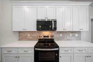 3 Malauka Radial Track, Ocklawaha, FL 32179 - Photo 44