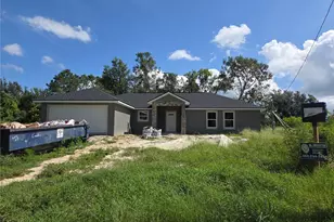 3 Malauka Radial Track, Ocklawaha, FL 32179 - Photo 16