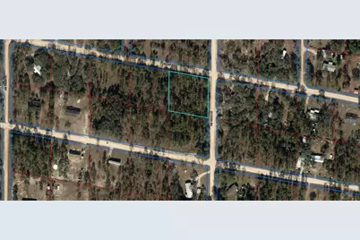 Tbd NE 134th Court, Williston, FL 32696 - Photo 2
