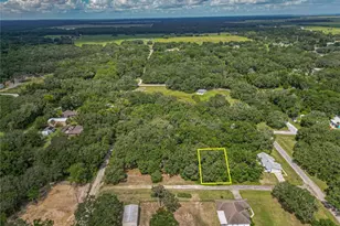 Tbd SW 134 Terrace, Dunnellon, FL 34432 - Photo 1