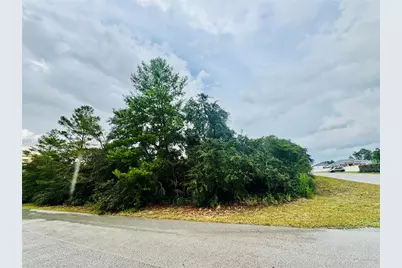 Tbd SW 111th Pl, Ocala, FL 34476 - Photo 2