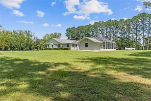 17690 NE State Road 121, Williston, FL 32696 - Photo 6