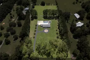 17690 NE State Road 121, Williston, FL 32696 - Photo 8