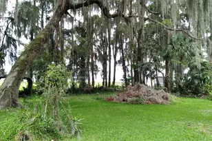 15402 SE US Hwy 301, Hawthorne, FL 32640 - Photo 8