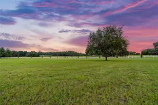 21679 SW 106th Lane Rd, Dunnellon, FL 34431 - Photo 70