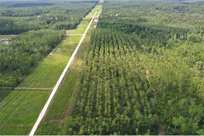 Tbd NE 125th Ave, Fort Mc Coy, FL 32134 - Photo 4