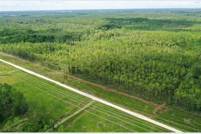 Tbd NE 125th Ave, Fort Mc Coy, FL 32134 - Photo 1