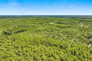 Tbd NE 125th Ave, Fort Mc Coy, FL 32134 - Photo 1