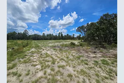 10290 NE 58th Lane, Bronson, FL 32621 - Photo 1