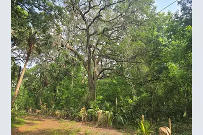 2452 N Junglecamp Road, Inverness, FL 34453 - Photo 14