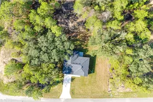 58 Fisher Trace Run, Ocklawaha, FL 32179 - Photo 4