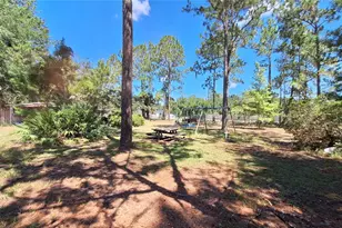 13160 NE 1st Street Rd, Silver Springs, FL 34488 - Photo 6