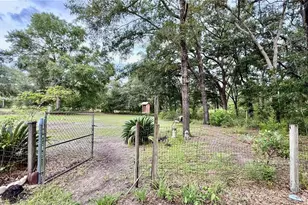 11571 NE 83rd Terrace, Bronson, FL 32621 - Photo 40