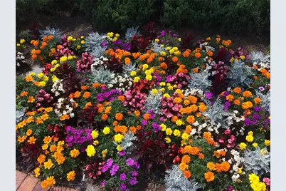 8872 SW 92nd Place #F, Ocala, FL 34481 - Photo 40