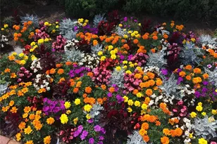 8872 SW 92nd Pl, Ocala, FL 34481 - Photo 40