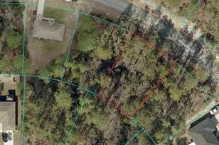 Tba SW 65 Ave Rd, Ocala, FL 34473 - Photo 1