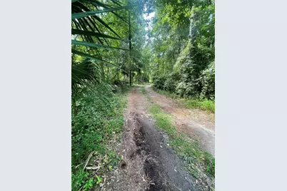 [Address not provided], Reddick, FL 32686 - Photo 2