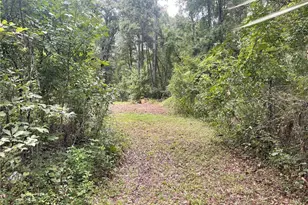 [Address not provided], Reddick, FL 32686 - Photo 42