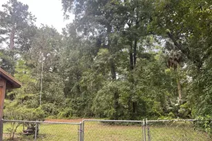 [Address not provided], Reddick, FL 32686 - Photo 38