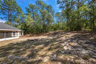 11068 N Mataro Ave, Citrus Springs, FL 34434 - Photo 28