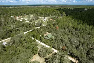 20259 NE 147th Terrace, Fort Mc Coy, FL 32134 - Photo 34